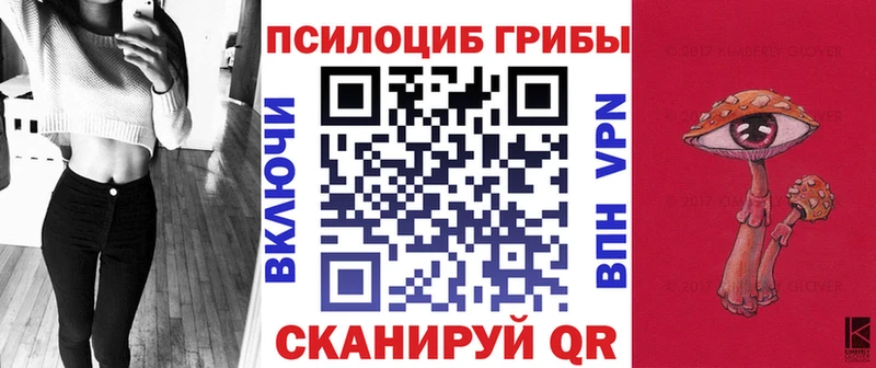 Псилоцибиновые грибы Magic Shrooms  Купить закладки  Жирновск 